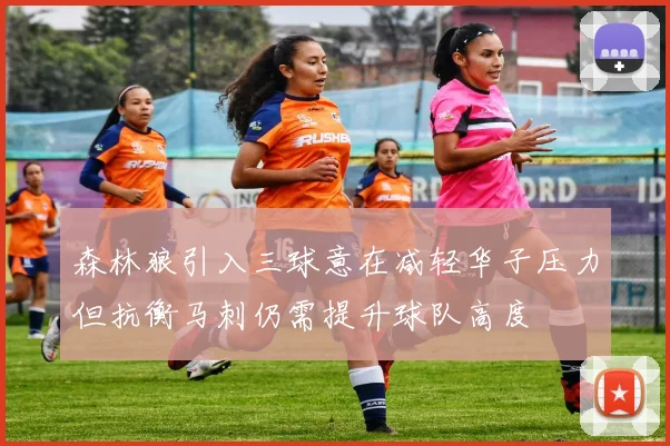 森林狼引入三球意在减轻华子压力但抗衡马刺仍需提升球队高度