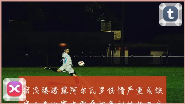 宿茂臻透露阿尔瓦罗伤情严重或缺席玉昆比赛克雷桑恢复训练状态良好