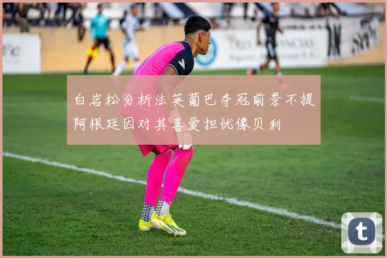 白岩松分析法英葡巴夺冠前景不提阿根廷因对其喜爱担忧像贝利